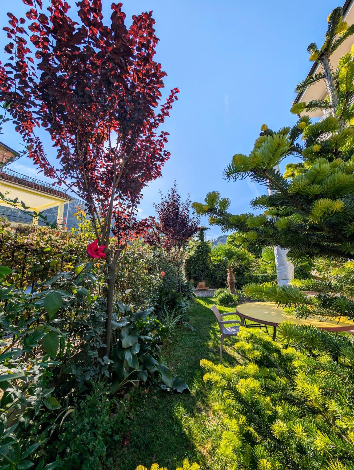 Villa With Garden And Veranda Berat Zewnętrze zdjęcie
